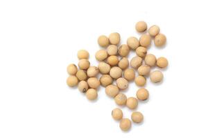 soybean seeds on white background photo