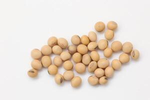 soybean seeds on white background photo