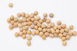 soybean seeds on white background photo