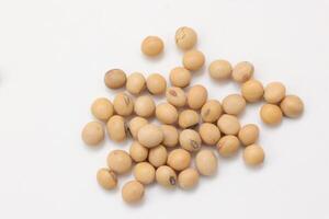soybean seeds on white background photo