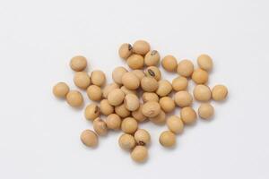 soybean seeds on white background photo