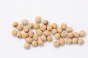 soybean seeds on white background photo