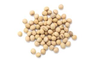 soybean seeds on white background photo
