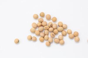 soybean seeds on white background photo