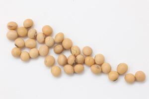 soybean seeds on white background photo