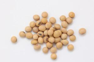 soybean seeds on white background photo