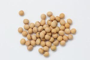 soybean seeds on white background photo