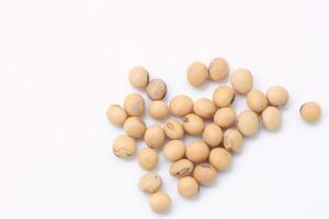 soybean seeds on white background photo