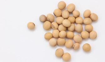 soybean seeds on white background photo
