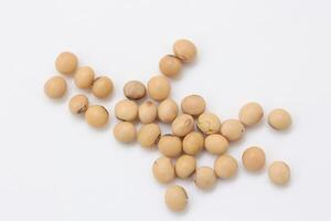 soybean seeds on white background photo