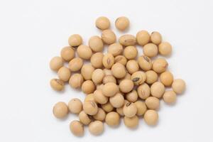 soybean seeds on white background photo