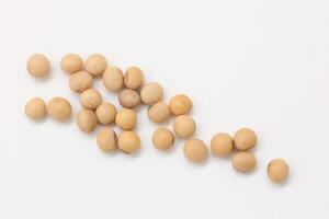 soybean seeds on white background photo
