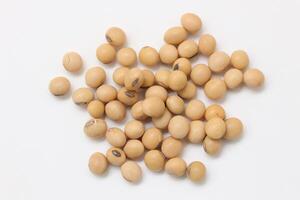soybean seeds on white background photo