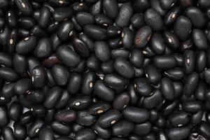 Black beans, top view of black beans seeds background photo
