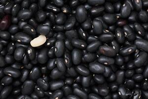 Black beans, top view of black beans seeds background photo