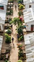 Aerial View of Residential Community with Lush Gardens and People Walking on Pathways photo