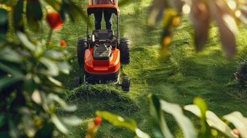 Overhead view of a man cutting grass with a lawnmower photo
