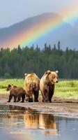 Bear family walking along a beach with rainbow backdrop photo