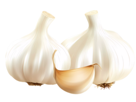 garlic on a transparent background png