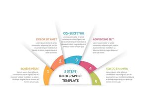 Circle infographic template with five steps or options vector