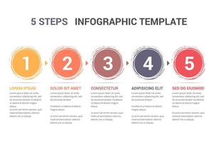 Infographic Template with 5 Hand Drawn Circles vector