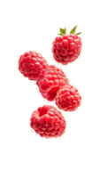 Raspberry isolated transparent objects png