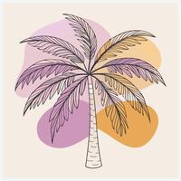 Stunning Illustration of the Unique Bacaba Palm vector