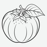 Elegant Persimmon Line Art, Minimalist Botanical Illustration vector