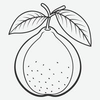 Elegant Guava Line Art, Minimalist Guava Illustrations vector