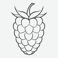 Elegant Raspberry Line Art Design for Minimalist Decor vector