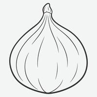 Elegant Fig Line Art, Simple, Minimalist Illustrations of Fig Fruit vector