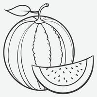 Elegant Honeydew Melon Line Art vector
