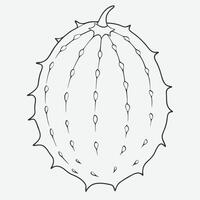 Kiwano Line Art, Elegant and Intricate Illustrations of the Horned Melon vector
