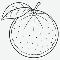 Elegant Ugli Fruit Line Art Minimalist Drawing and Design vector