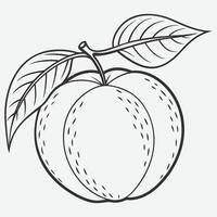 Elegant Peach Line Art Collection vector