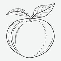 Exquisite Nectarine Line Art Illustrations vector