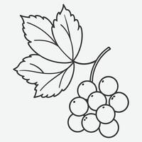 Elegant Redcurrant Line Art, Minimalist Fruit Illustration vector