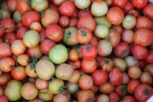 Side view of yellow, green, and red tomatoes on bags photo