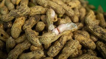 Opened nut shell on group of fresh ground peanuts harvest from field. photo