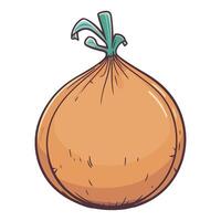 An onion is shown in a cartoon style vector