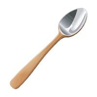 A wooden spoon with a metal handle on a white background vector