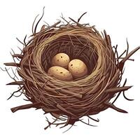 A bird nest with three eggs in it vector