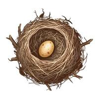 An illustration of a bird's nest with an egg inside vector