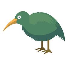 A green bird with a long beak and long legs vector