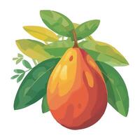 Mango fruit illustration isolated on white background vector