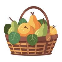 A basket full of pears and leaves vector