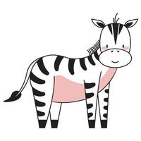 A cartoon zebra standing in front of a white background vector