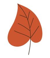 A leaf with a brown center on a white background vector