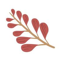 A branch with red leaves on it vector