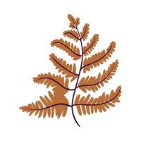 A fern leaf on a white background vector